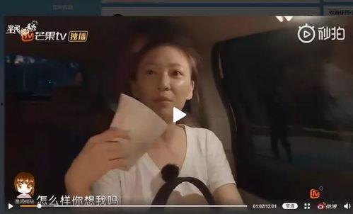 春哥最新爆料采儿视频播放,采儿视频播放背后的惊人真相