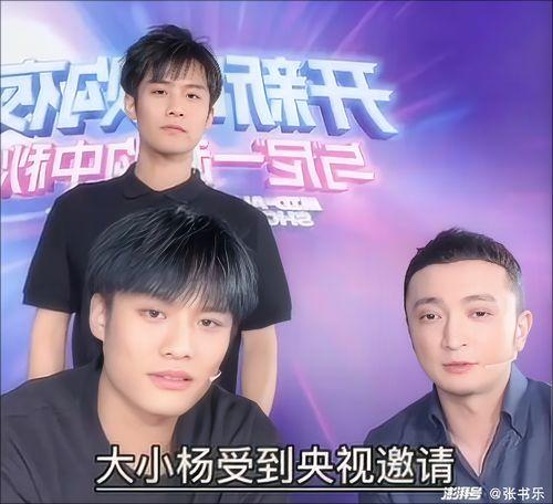 大小杨哥相互爆料视频播放,一场网络风波背后的真相揭秘